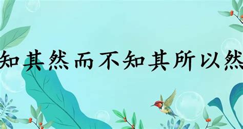 知其然而不知其所以然例子|知其然，不知其所以然